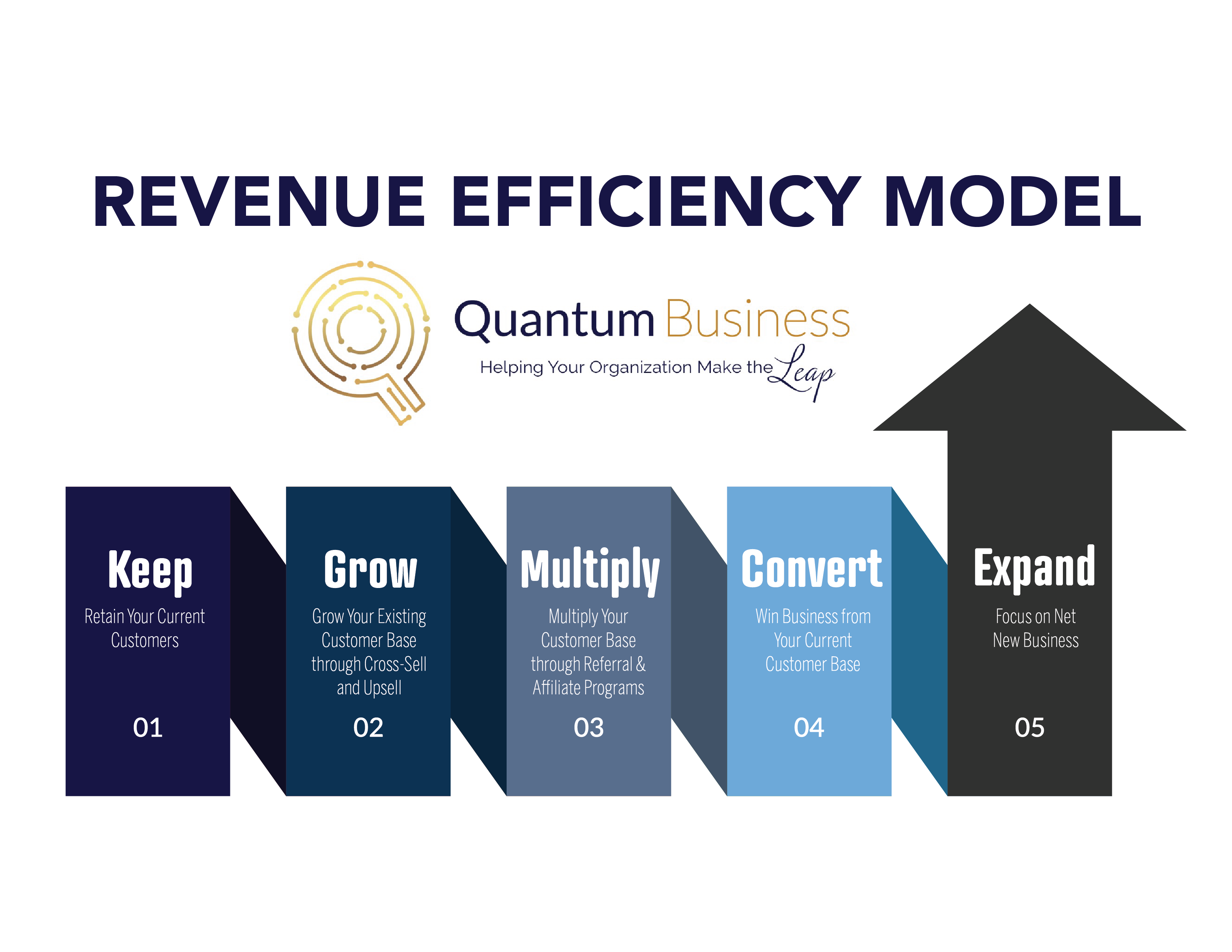 Quantum Revenue Efficiency Model: Keep, Grow, Multiply, Convert, Expand