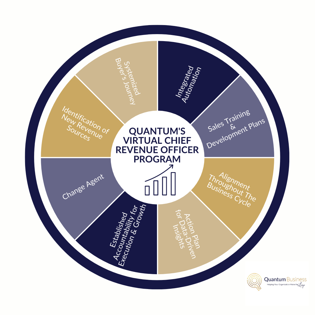 Virtual Chief Revenue Officer Program Wheel